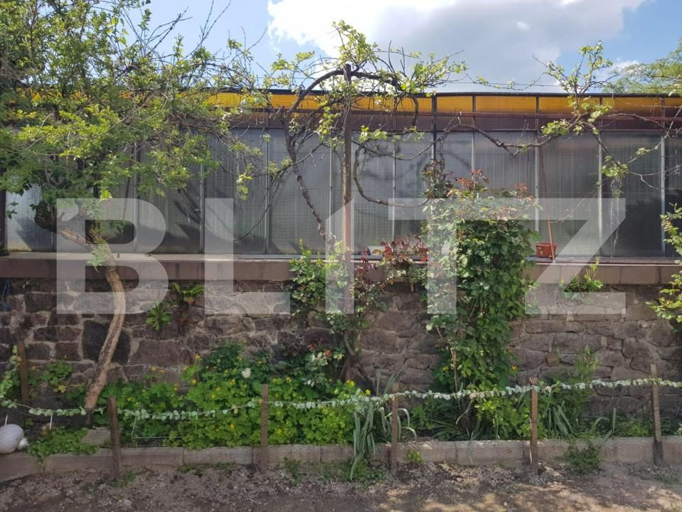 Casa de vânzare 4 camere Jdioara - 154672CV | BLITZ Timișoara | Poza7