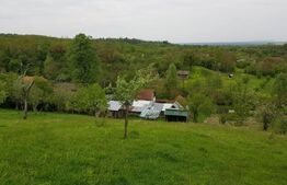 Casa de 100 mp, teren 5700 mp, Nadrag!