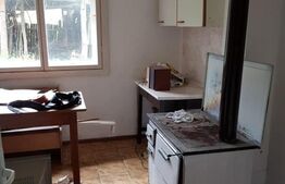 Casa de 100 mp, teren 5700 mp, Nadrag!