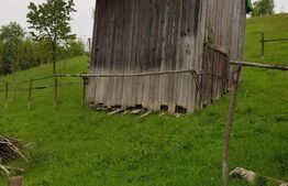 Casa de 100 mp, teren 5700 mp, Nadrag!