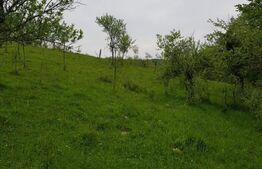 Casa de 100 mp, teren 5700 mp, Nadrag!