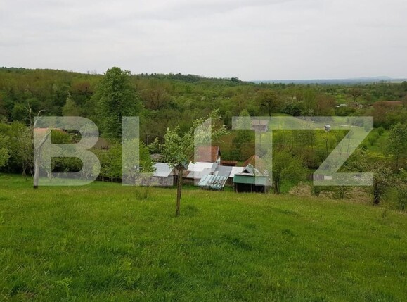 Casa de vânzare 3 camere Jdioara - 154673CV | BLITZ Timișoara | Poza9