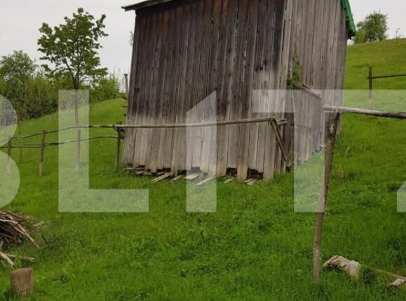 Casa de vânzare 3 camere Jdioara - 154673CV | BLITZ Timișoara | Poza7