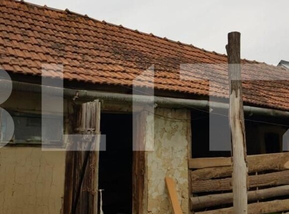 Casa de vânzare 3 camere Jdioara - 154673CV | BLITZ Timișoara | Poza3