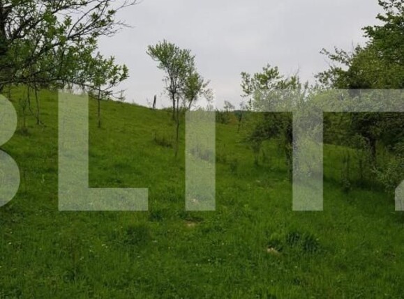 Casa de vânzare 3 camere Jdioara - 154673CV | BLITZ Timișoara | Poza8