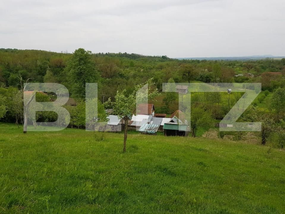 Casa de vânzare 3 camere Jdioara - 154673CV | BLITZ Timișoara | Poza9