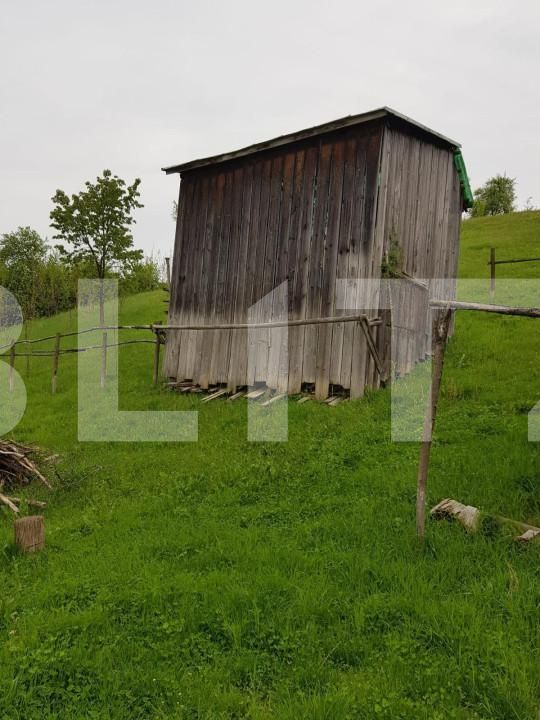 Casa de vânzare 3 camere Jdioara - 154673CV | BLITZ Timișoara | Poza7