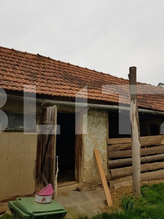 Casa de vânzare 3 camere Jdioara - 154673CV | BLITZ Timișoara | Poza3