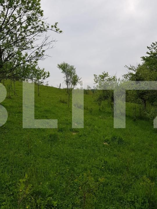 Casa de vânzare 3 camere Jdioara - 154673CV | BLITZ Timișoara | Poza8