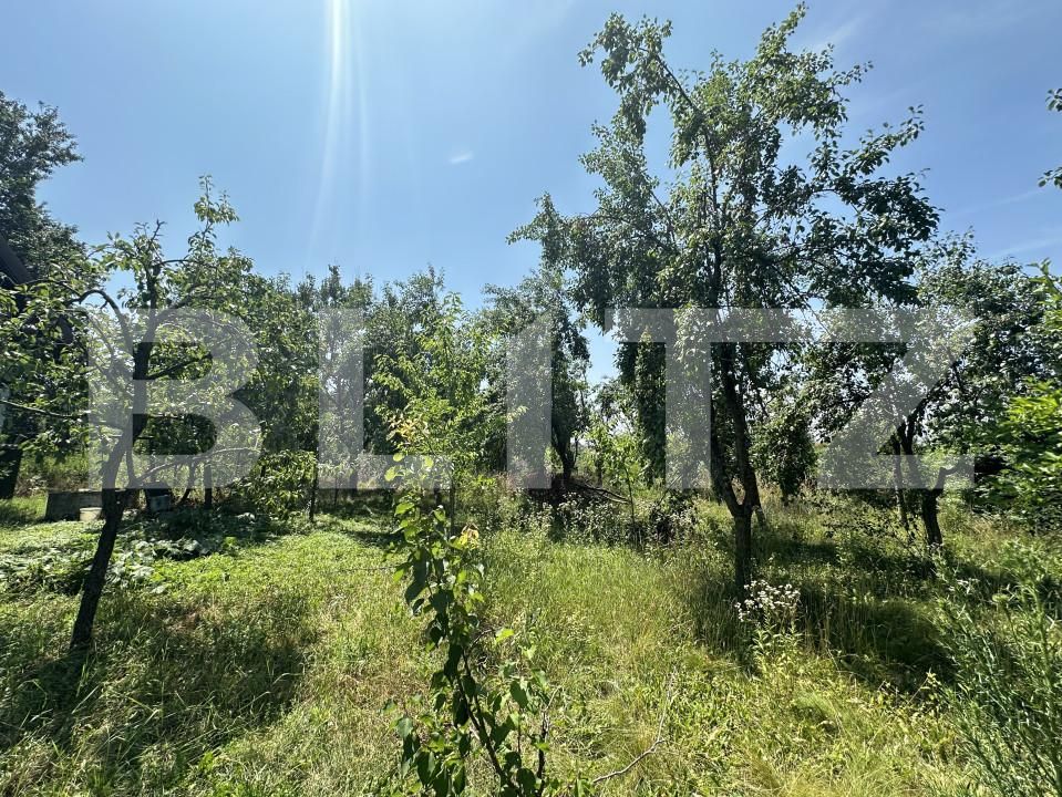 Teren de vânzare Uliuc - 154722TV | BLITZ Timișoara | Poza2