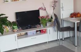 Apartament de 3 camere, 50mp, zona Aradului