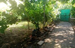 Casa individuala 2 camere, Su=90mp, St=374mp, FS 12ml, Freidorf