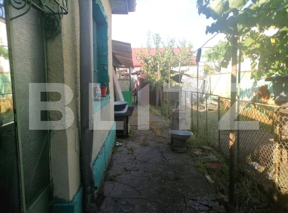 Casa de vânzare 2 camere Freidorf - 154968CV | BLITZ Timișoara | Poza3