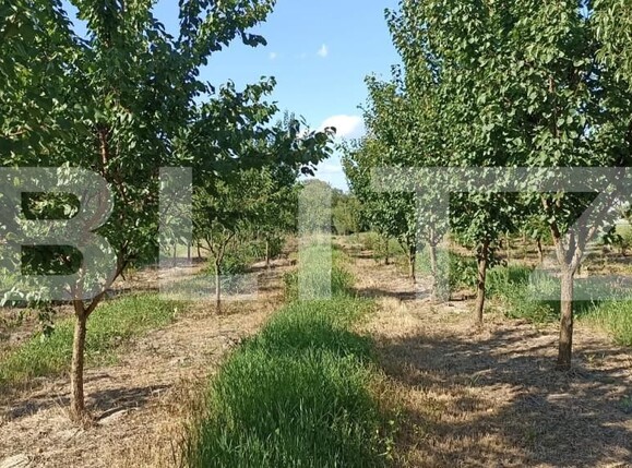 Casa de vânzare 5 camere Exterior Est - 155082CV | BLITZ Timișoara | Poza8