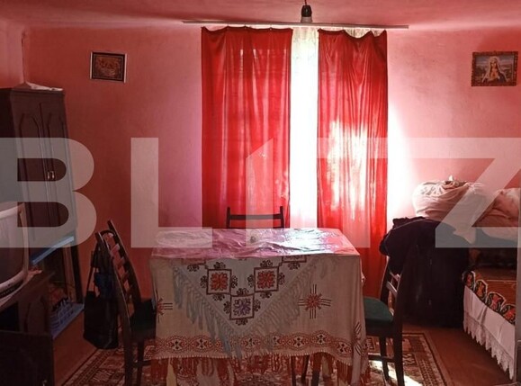 Casa de vânzare 5 camere Exterior Est - 155082CV | BLITZ Timișoara | Poza7