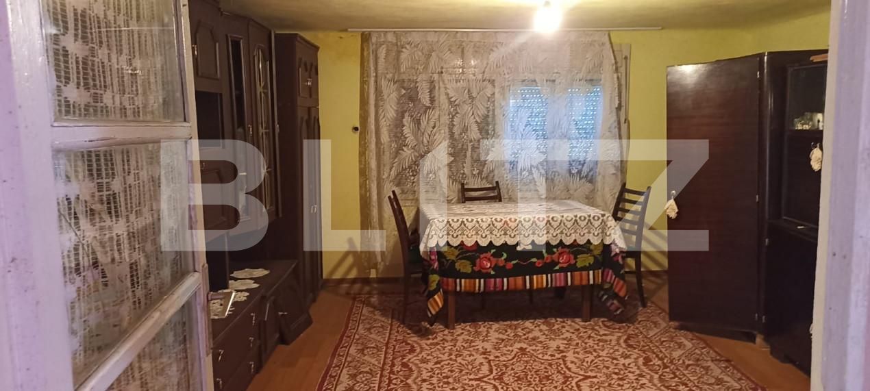 Casa de vânzare 5 camere Exterior Est - 155082CV | BLITZ Timișoara | Poza6