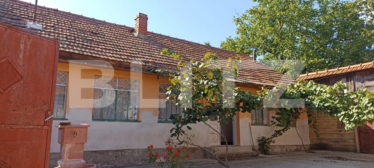 Casa de vânzare 5 camere Exterior Est - 155082CV | BLITZ Timișoara | Poza4