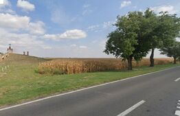 Teren Agricol, pentru sera 1 Ha, Biled