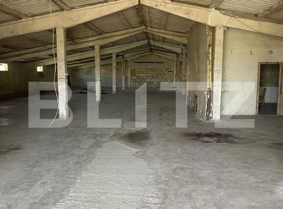Spațiu industrial de închiriat Dumbravita - 155088SII | BLITZ Timișoara | Poza2