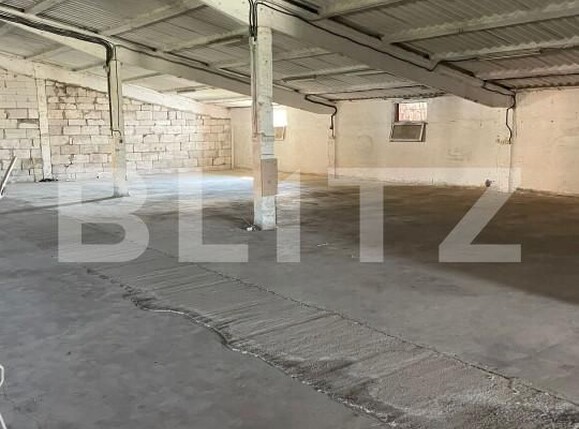 Spațiu industrial de închiriat Dumbravita - 155088SII | BLITZ Timișoara | Poza5