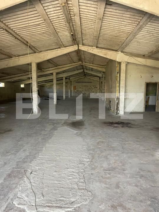 Spațiu industrial de închiriat Dumbravita - 155088SII | BLITZ Timișoara | Poza2