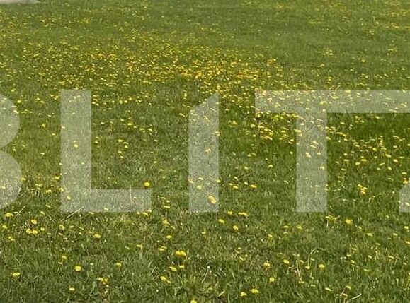 Teren de vânzare Dumbravita - 155163TV | BLITZ Timișoara | Poza1