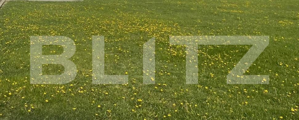 Teren de vânzare Dumbravita - 155163TV | BLITZ Timișoara | Poza1