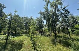 Comision 0%! Casa 3 camere, cu teren generos de 2184 mp, Uliuc