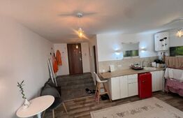 Apartament 38 mp in Fratelia, SAD