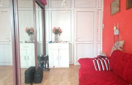 Apartament 2 Camere Decomandat, Mobilat - Etajul 1, 42 mp, Dacia