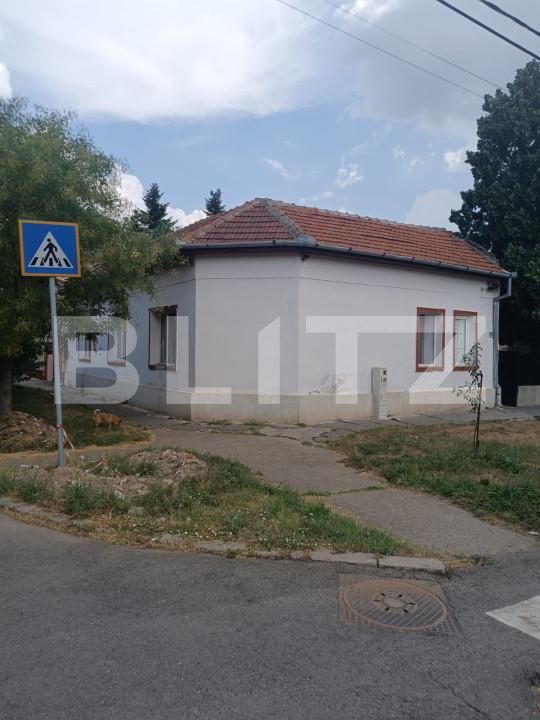 Casa de vânzare 7 camere Fratelia - 155544CV | BLITZ Timișoara | Poza2