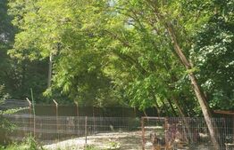 Casa pasiva panouri fotovoltaice, pe parter, Giroc cheltuieli minime