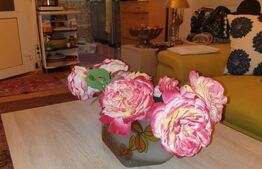 Casa pasiva panouri fotovoltaice, pe parter, Giroc cheltuieli minime