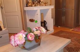 Casa pasiva panouri fotovoltaice, pe parter, Giroc cheltuieli minime