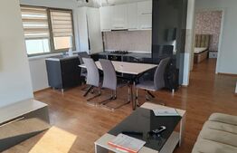 Apartament cochet 2 cam, Dumbravita