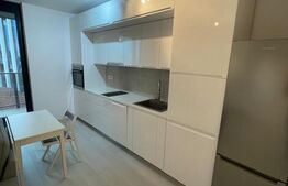 Apartament tip studio de inchiriat, zona Isho