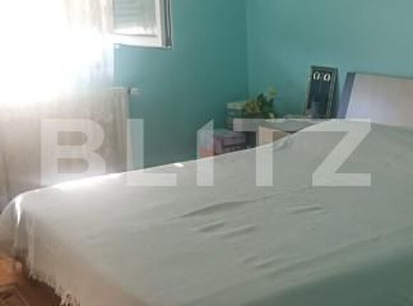 Casa de vânzare 6 camere Exterior Vest - 156243CV | BLITZ Timișoara | Poza3