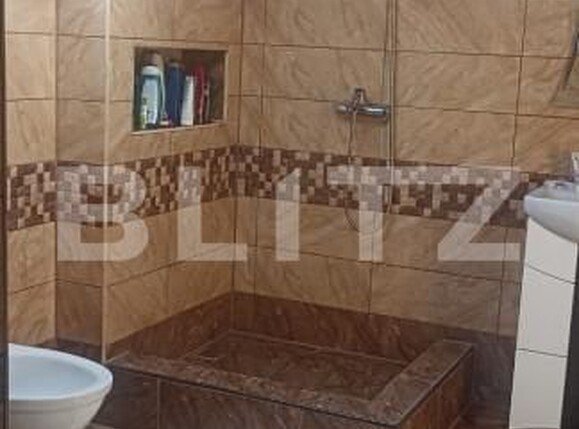 Casa de vânzare 6 camere Exterior Vest - 156243CV | BLITZ Timișoara | Poza9