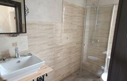 Spatiu comercial cu vitrina, 114 mp open space,  etaj 1, Dumbravita