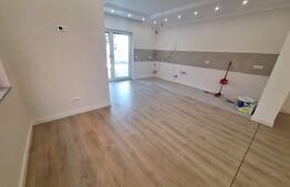 Duplex, 4 camere, zona Lipovei
