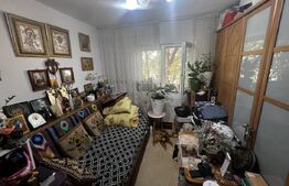 Apartament 2 camere, etaj 1, Blascovici 41 mp