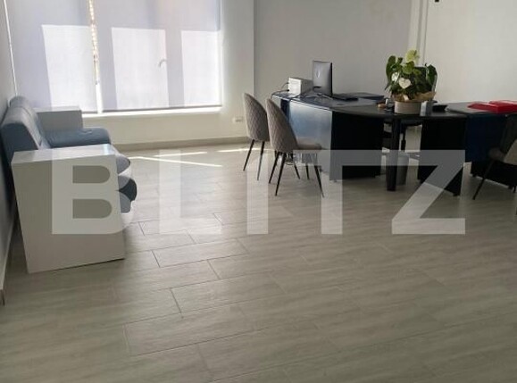 Spațiu birouri de închiriat Brancoveanu - 156976SIB | BLITZ Timișoara | Poza1