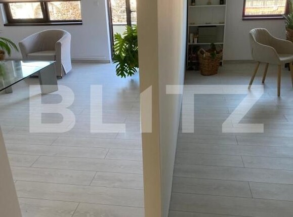 Spațiu birouri de închiriat Brancoveanu - 156976SIB | BLITZ Timișoara | Poza3