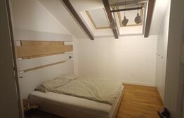 Apartament spatios, 152 mp utili,  la cheie cu gradina, zona Ronat