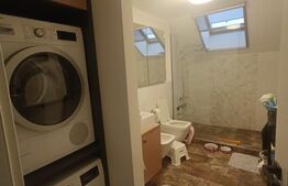 Apartament spatios, 152 mp utili,  la cheie cu gradina, zona Ronat