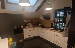 Apartament spatios, 152 mp utili,  la cheie cu gradina, zona Ronat