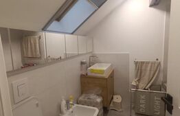 Apartament spatios, 152 mp utili,  la cheie cu gradina, zona Ronat