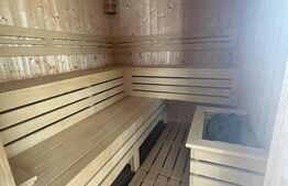 De inchiriat-Salon muntifunctional de infrumusetare, masaj, baie SPA, 140 mp