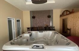 De inchiriat-Salon muntifunctional de infrumusetare, masaj, baie SPA, 140 mp