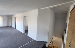 Casa, 4 camere, 200 mp, zona Vladeasa